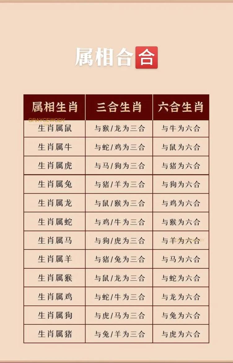 6合生肖是指什么生肖,6合生肖是指什么生肖动物