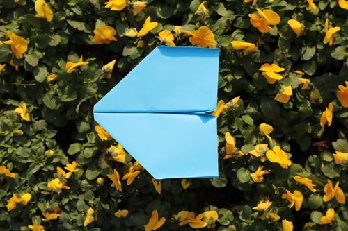 TG纸飞机资源群最新:纸飞机testflight
