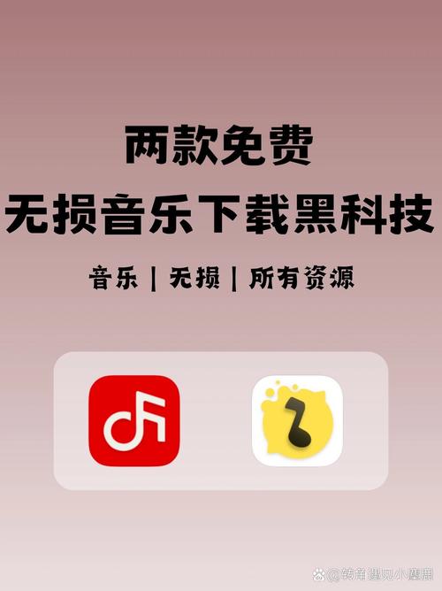 正版免费无损音乐下载app:2020无损音乐免费下载app