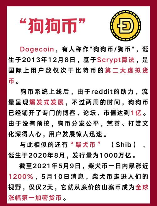 狗狗币为什么被严重低估:狗狗币2025年购买建议