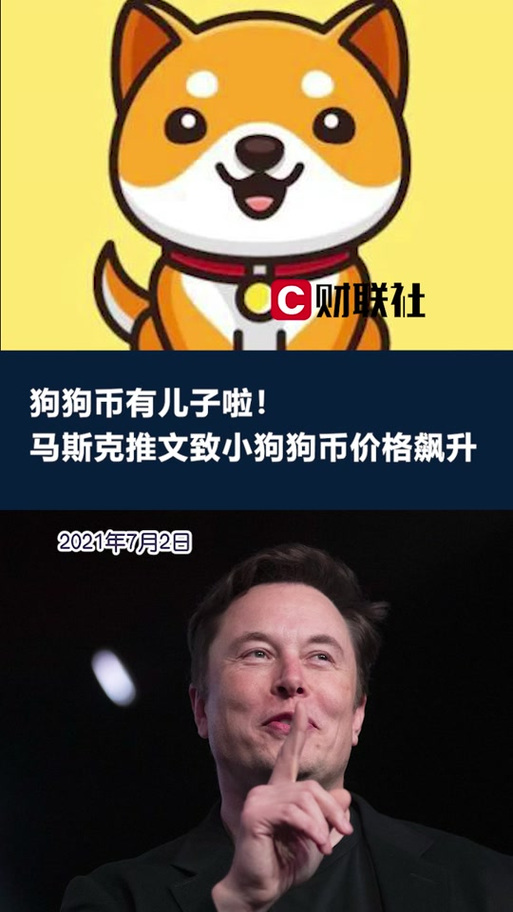 狗狗币2025:狗狗币2025涨50倍