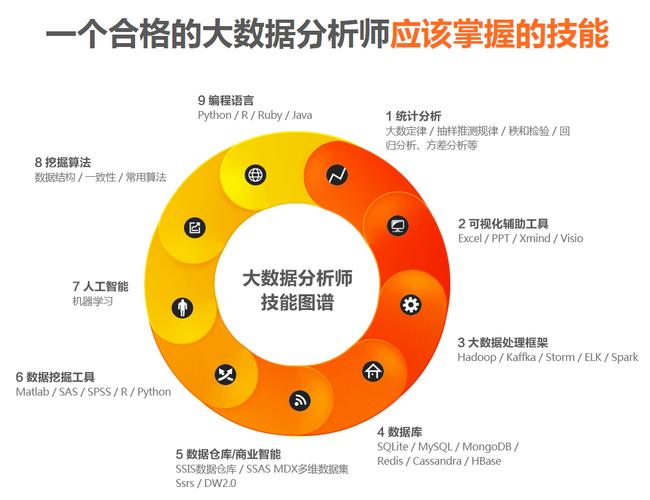 大数据分析师要学什么:大数据分析师需要学什么样