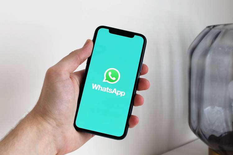 whatsapp接码:whatsapp接码注册平台