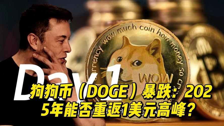 2025狗狗币会涨到30块吗:2021年狗狗币未来的升值空间