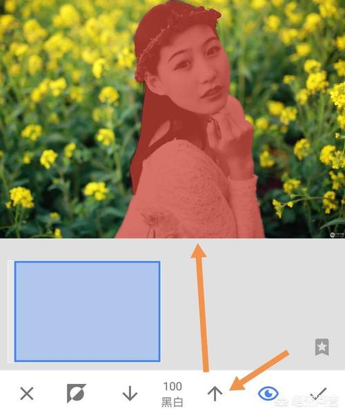 小米snapseed官方网址的简单介绍