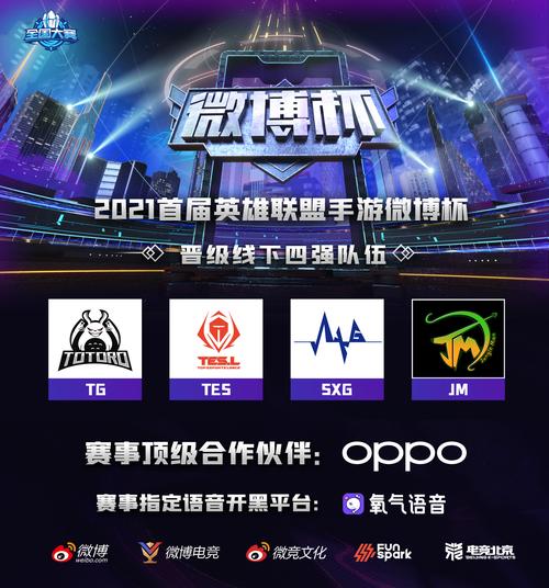 关于tg下载的视频在哪看的信息
