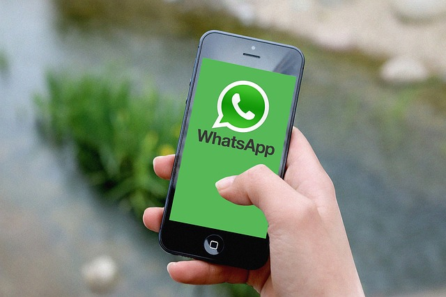 whatsapp怎样,whatsapp怎样注册成功率高