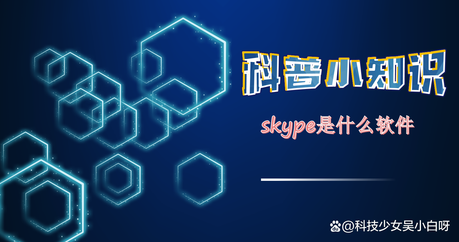 电脑skype是什么,skype是什么电脑软件