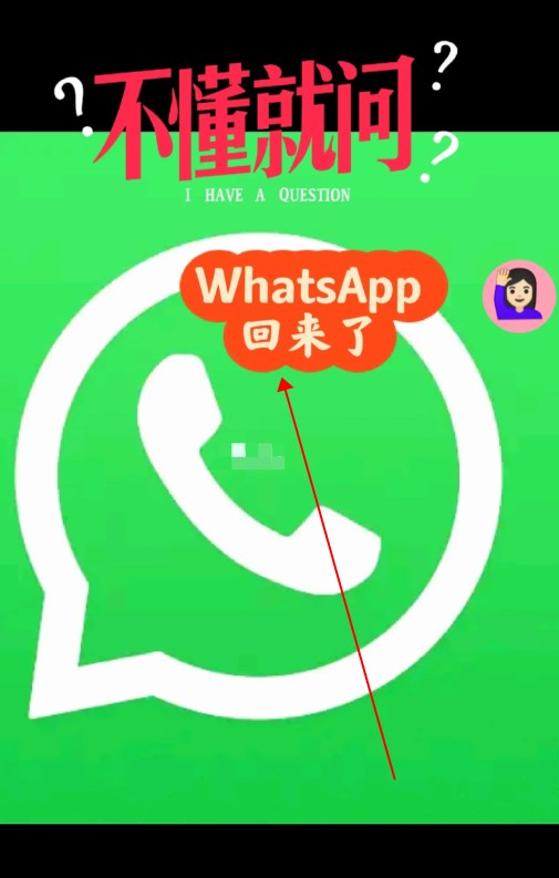 whatsapp苹果手机能用吗,whatsapp只能用苹果手机吗