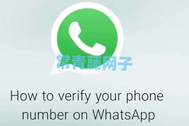 whatsappandroid下载最新,whatsapp android下载最新