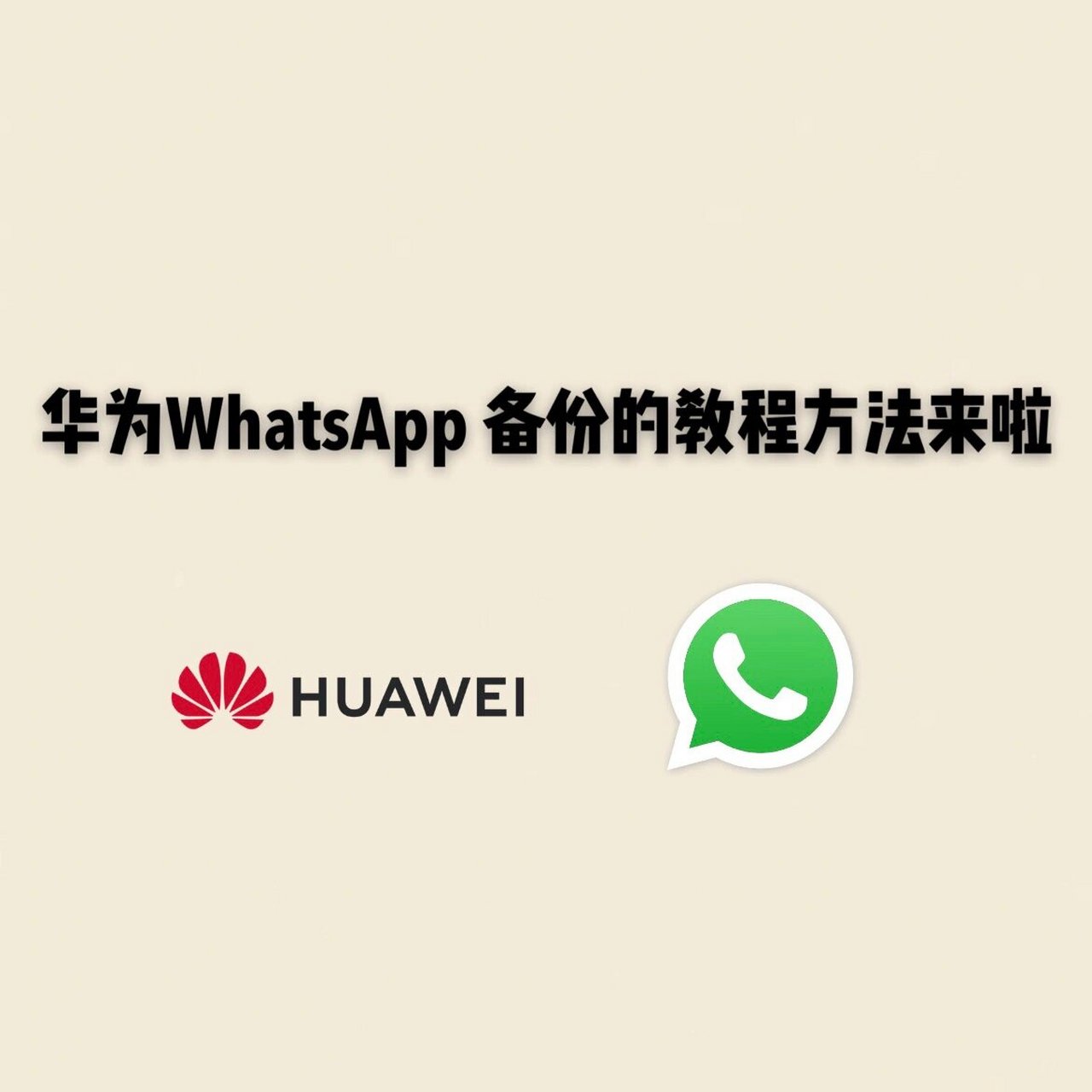 华为whatsapp,华为whatsapp中文版最新版app