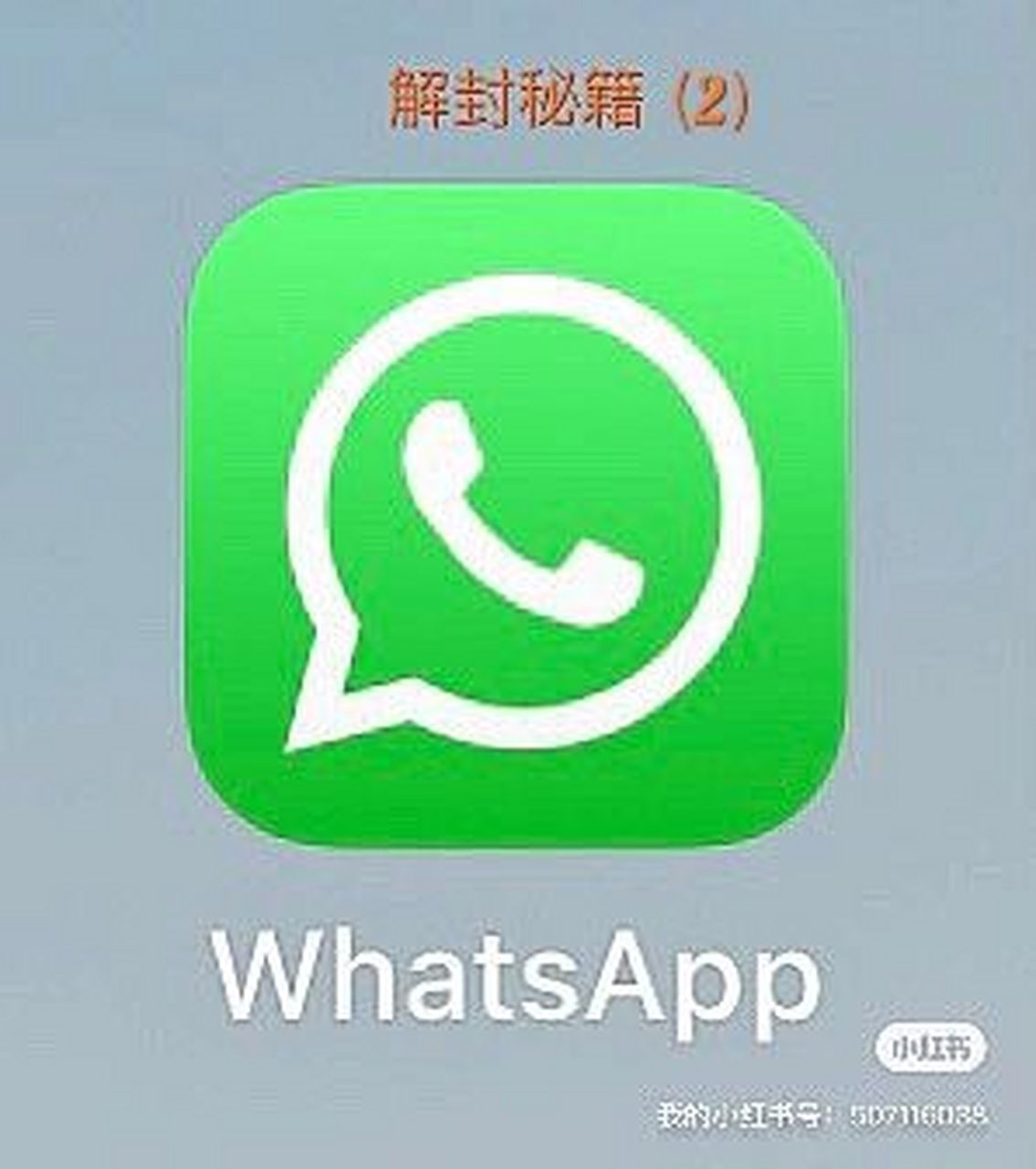 whatsapp下载最新版本下载,whatsapp最新版本下载2024