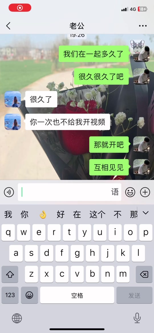 skype什么意思?,skype什么意思翻译在线