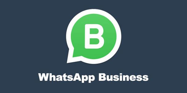 苹果可以下载whatsapp吗,苹果手机能下载whatsapp吗